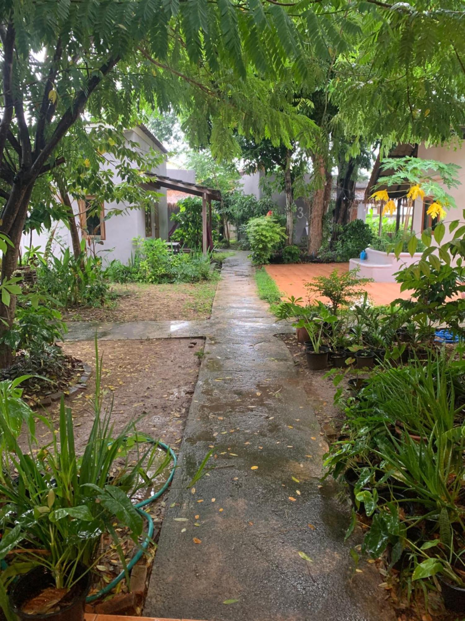 บ้านใจแปงโฮมสเตย์ Ban Jaipang Homestay Pai Zewnętrze zdjęcie