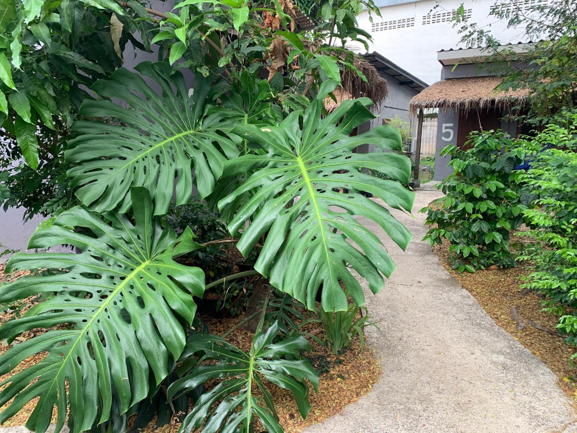 บ้านใจแปงโฮมสเตย์ Ban Jaipang Homestay Pai Zewnętrze zdjęcie