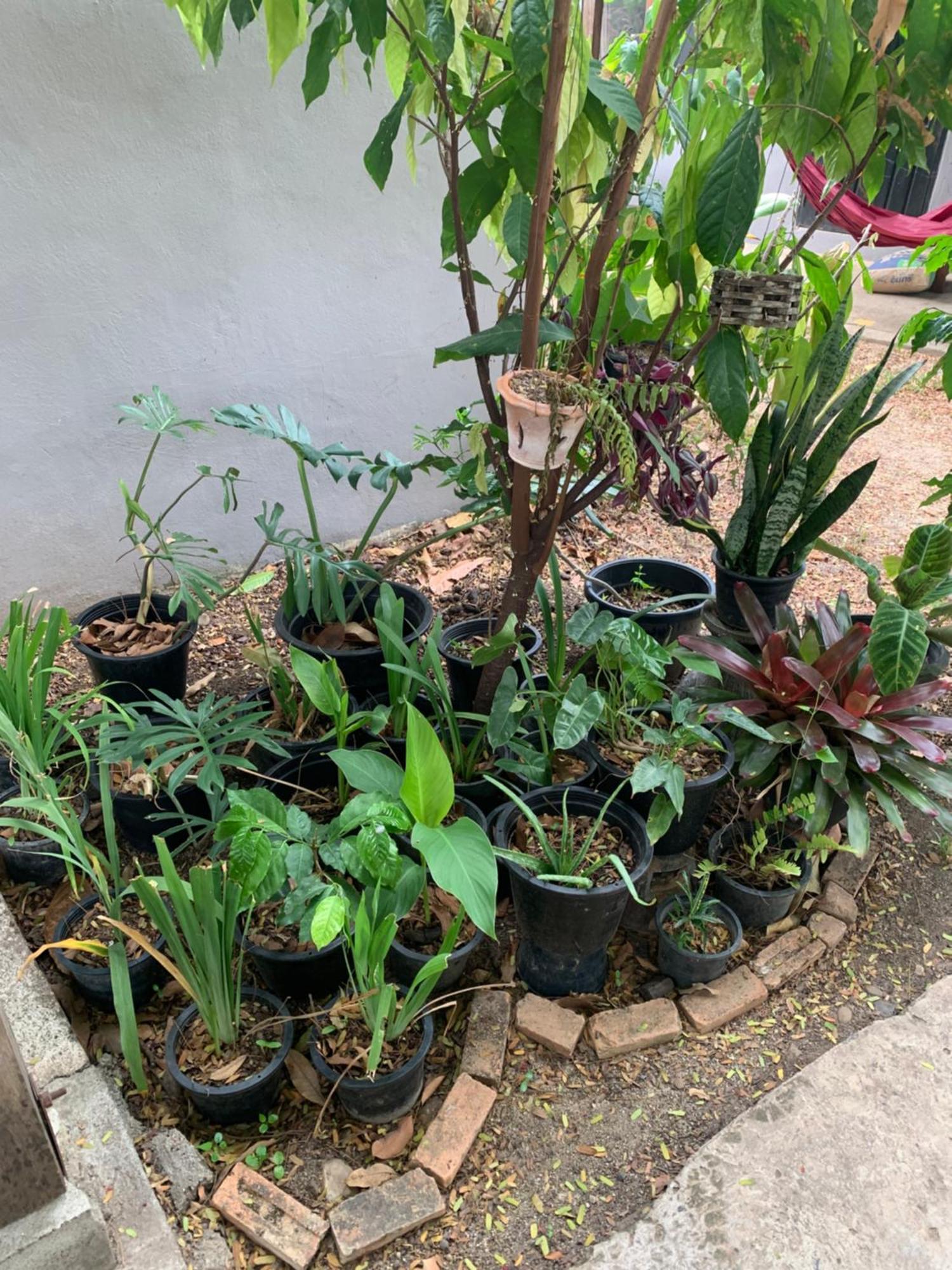 บ้านใจแปงโฮมสเตย์ Ban Jaipang Homestay Pai Zewnętrze zdjęcie